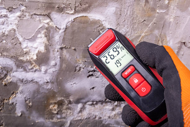 Best Kitchen Mold Remediation in Mcswain, CA