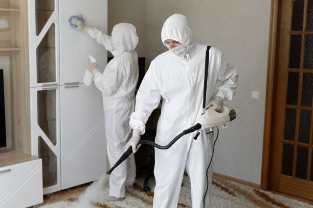 Best DIY Mold Remediation Support Services in Mcswain, CA