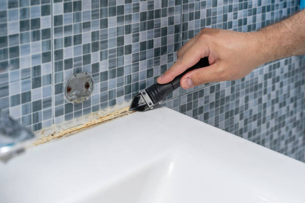 Best Localized Mold Remediation (e.g., coastal areas, humid climates) in Mcswain, CA
